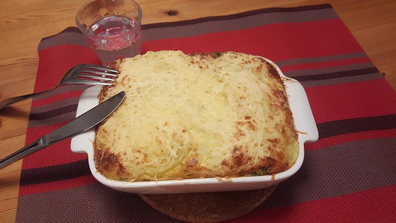 Hollandse ovenschotel met zalm en prei